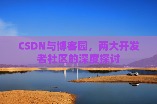 CSDN与博客园，两大开发者社区的深度探讨